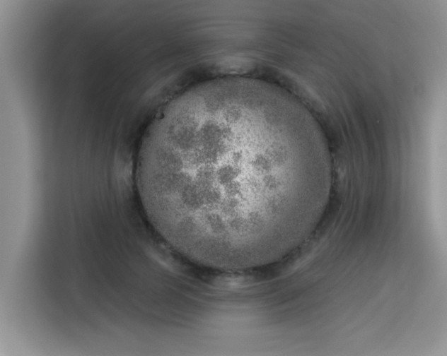 X0000113740745200910071045