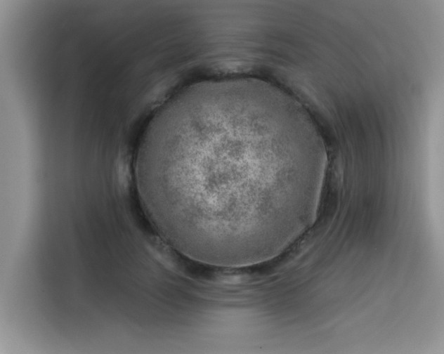 X0000113740746200910071045