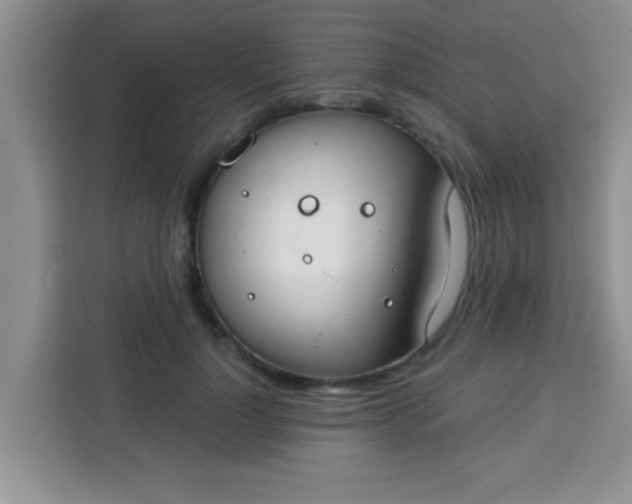 X0000113740748200910071046