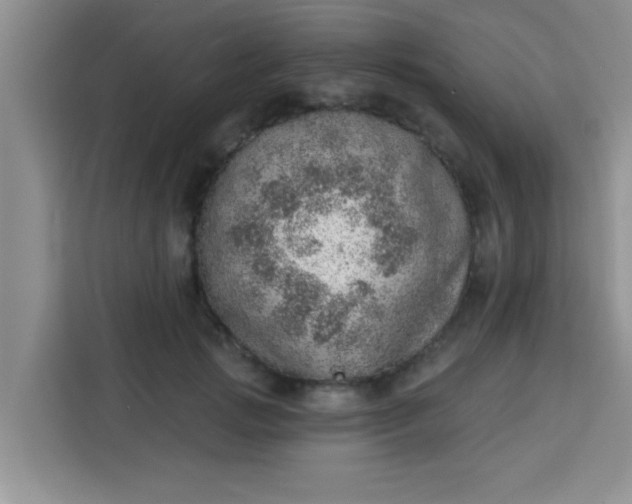 X0000113740749200910071046