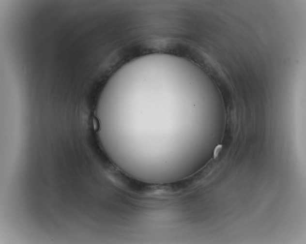 X0000113740750200910071046