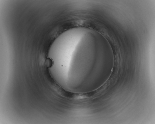 X0000113740754200910071046