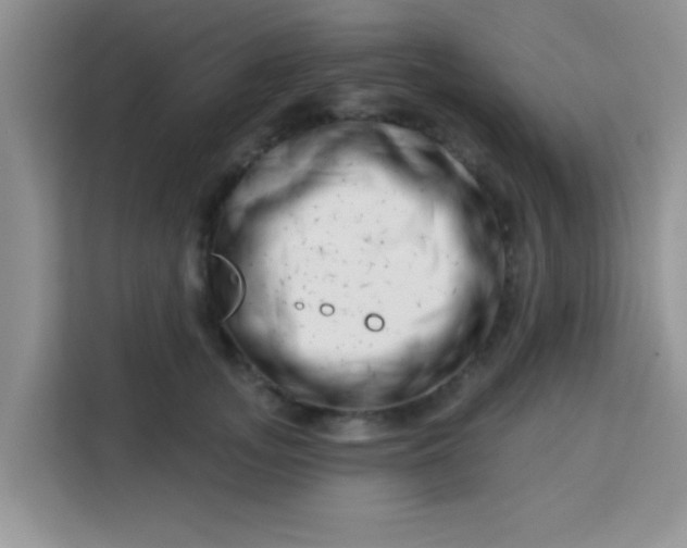 X0000113740755200910071046