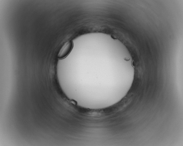 X0000113740756200910071046