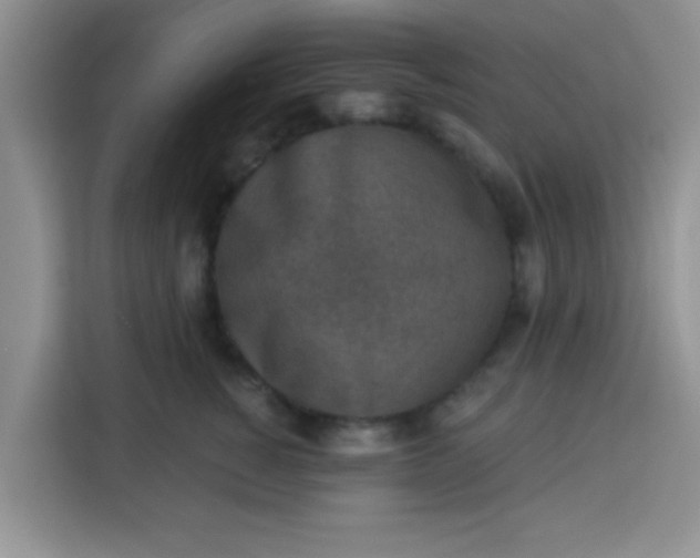 X0000113740760200910071046