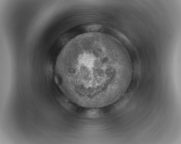 X0000113740761200910071046