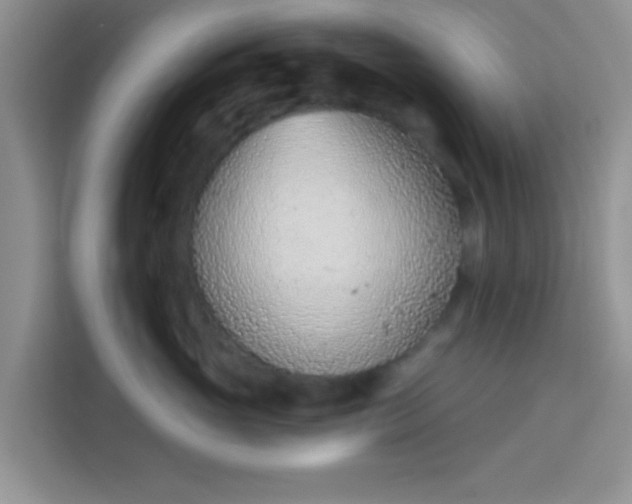 X0000113740765200910071046