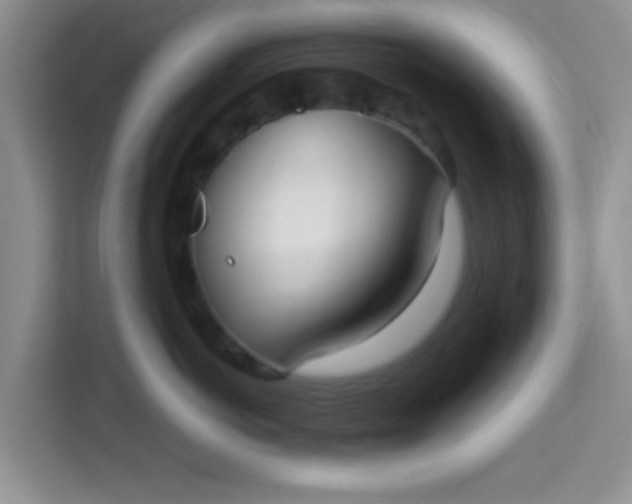 X0000113740766200910071046