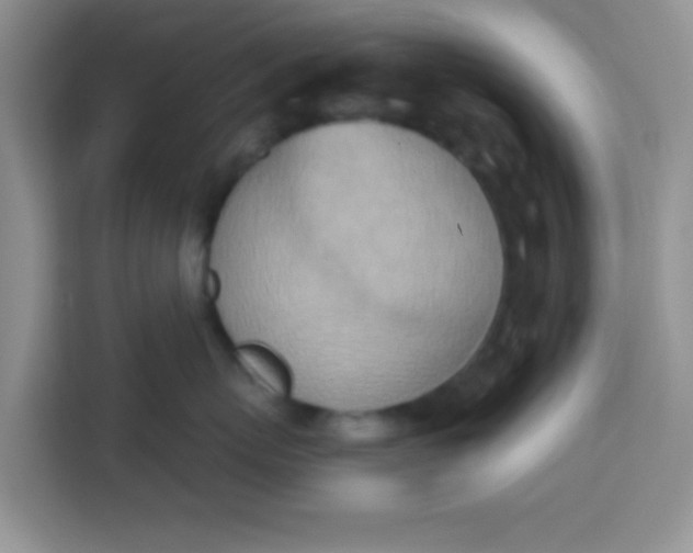 X0000113740767200910071046