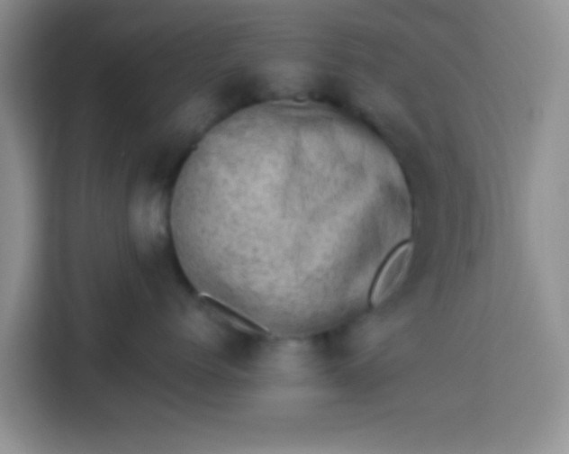 X0000113740768200910071046