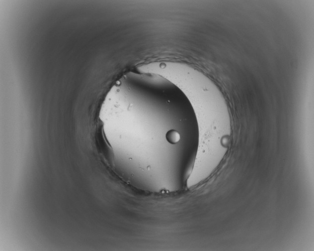 X0000113740769200910071045