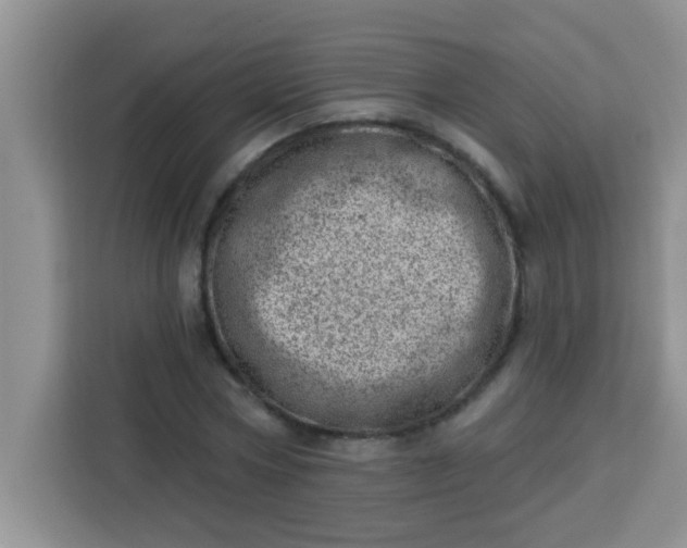 X0000113740778200910071045