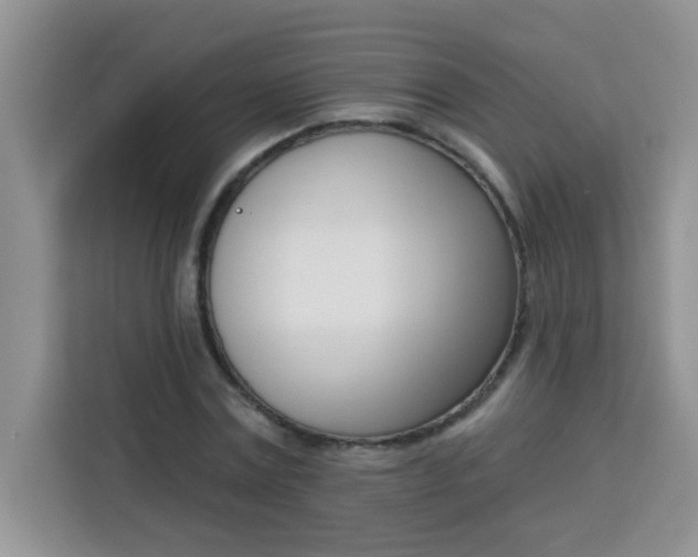 X0000113740779200910071045