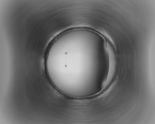 X0000113740781200910071045