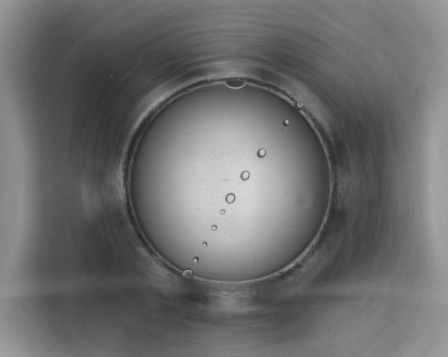 X0000113740789200910071045