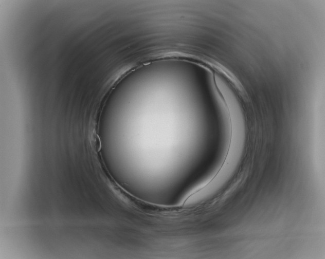 X0000113740793200910071045