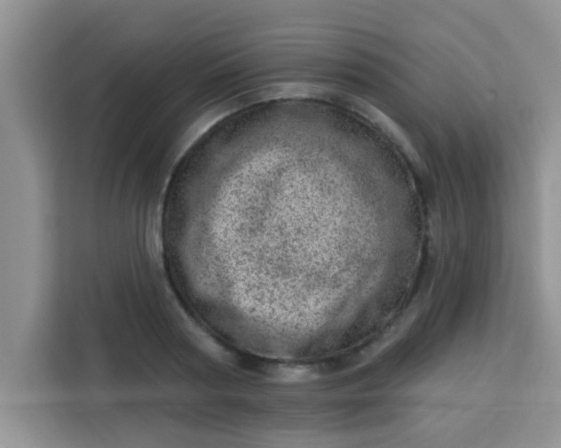 X0000113740794200910071045