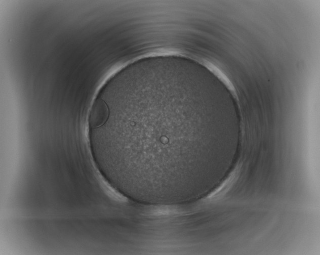 X0000113740797200910071045