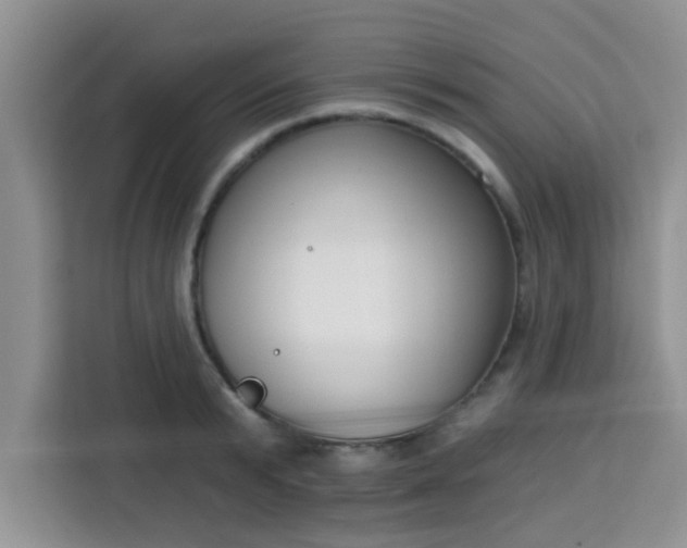 X0000113740799200910071045