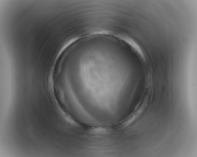 X0000113740806200910071045