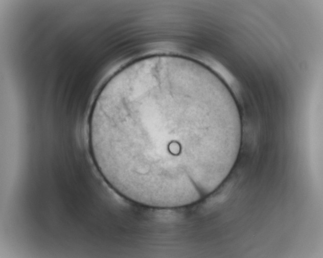 X0000113740807200910071045