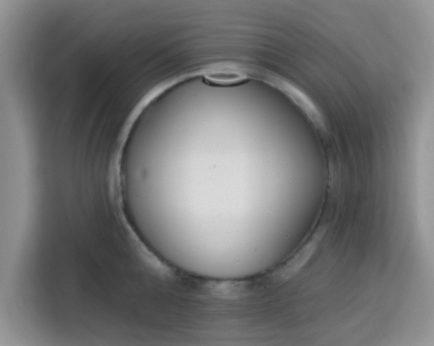 X0000113740808200910071045