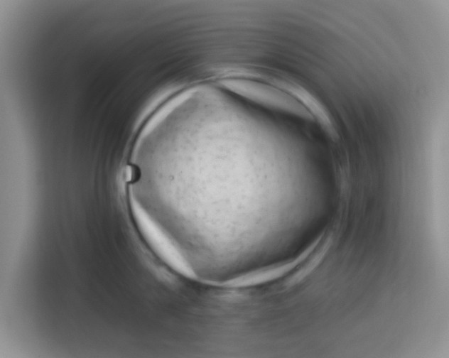 X0000113740814200910071045