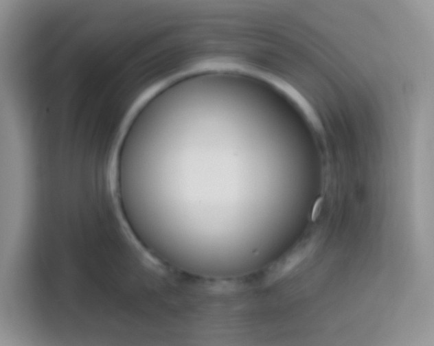 X0000113740815200910071045