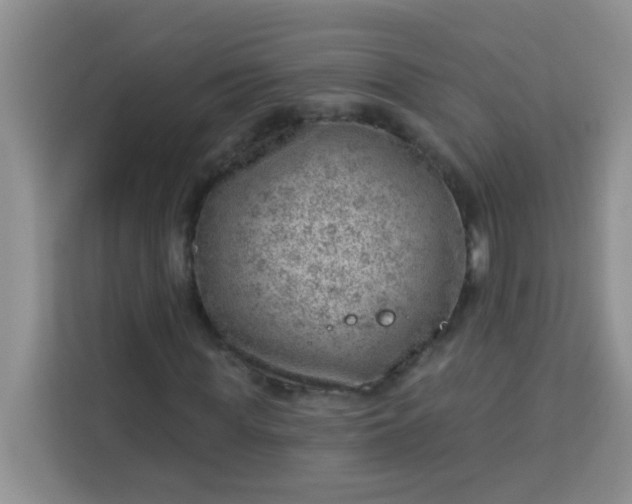 X0000113740819200910071044