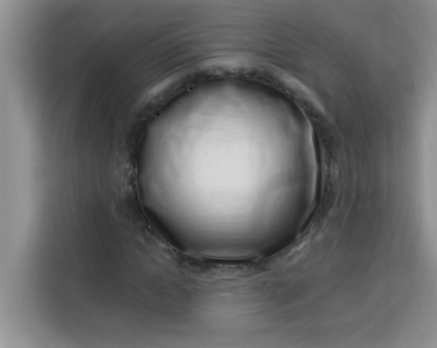 X0000113740822200910071044