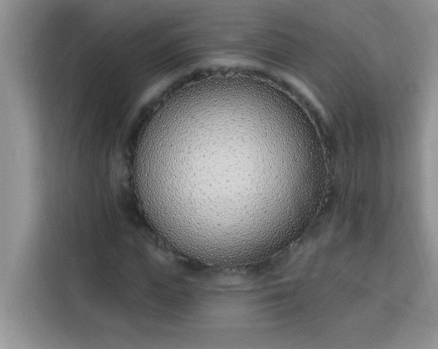 X0000113740823200910071044