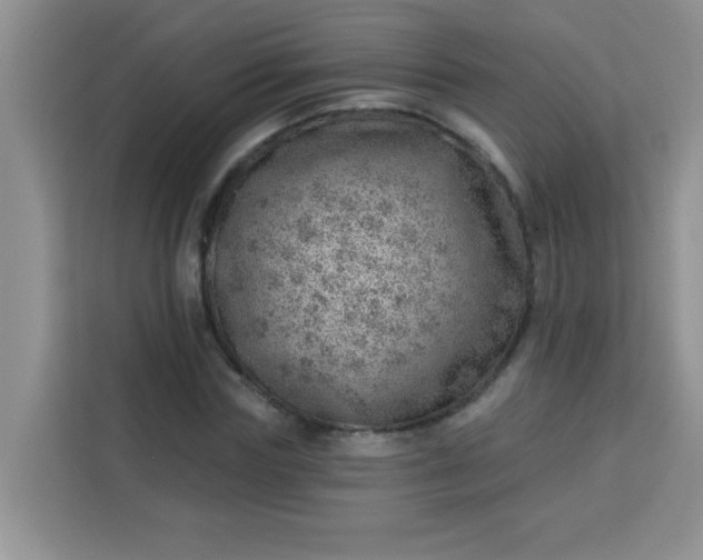 X0000113740827200910071044