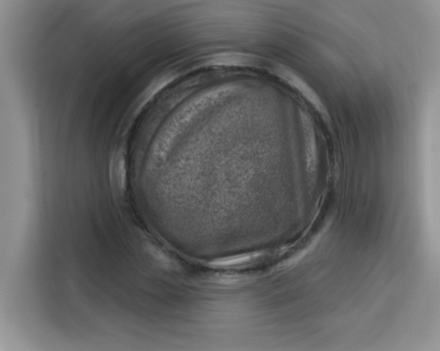 X0000113740829200910071044