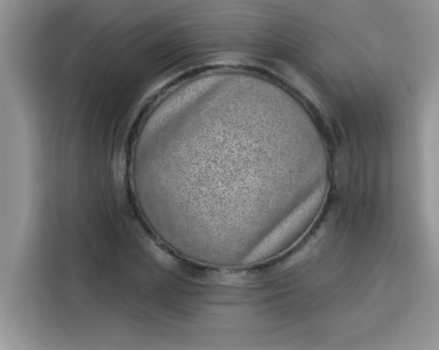 X0000113740831200910071044