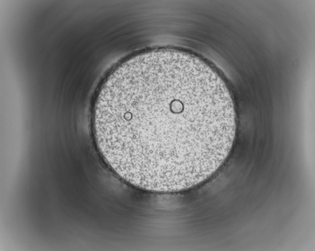 X0000113740832200910071044