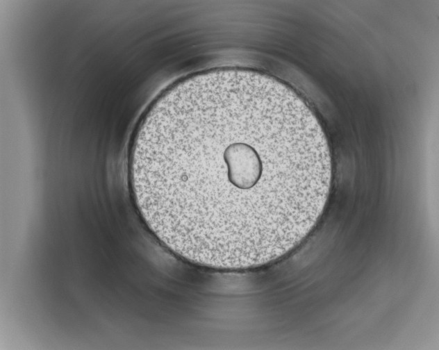 X0000113740836200910071044