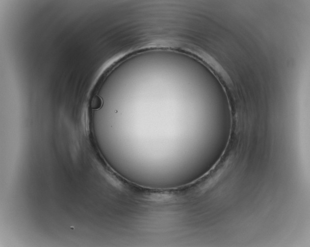 X0000113740838200910071044