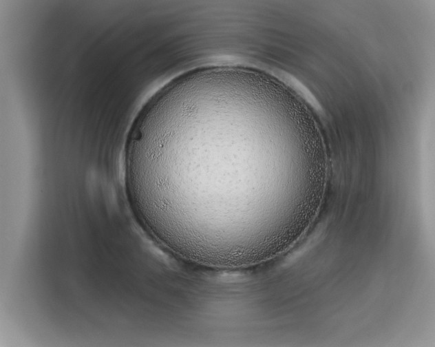 X0000113740839200910071044