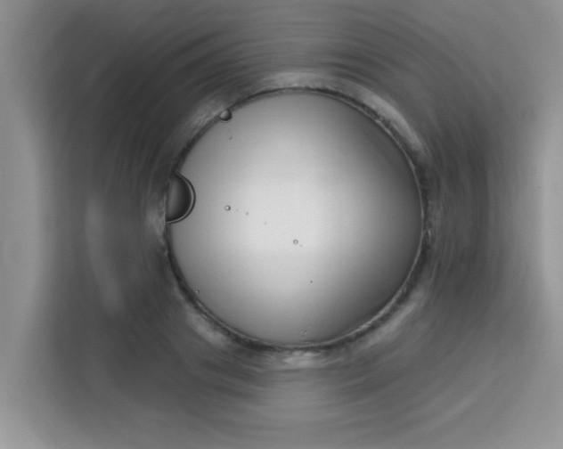 X0000113740841200910071044