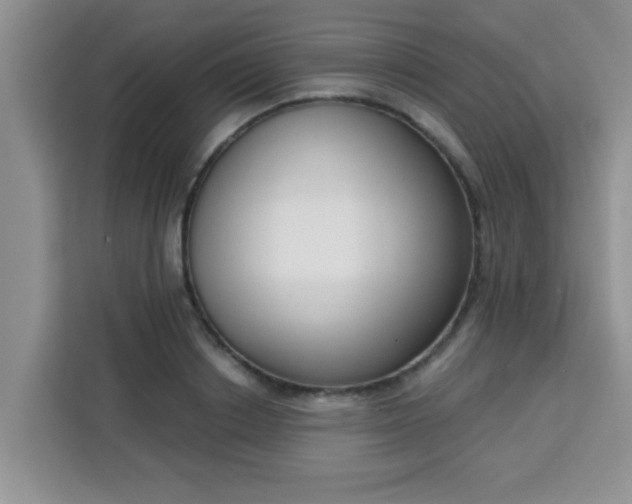 X0000113740842200910071044