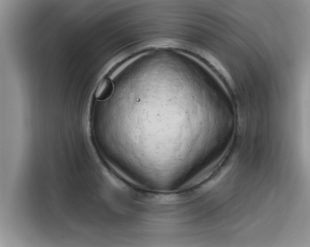 X0000113740845200910071044