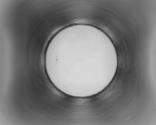 X0000113740848200910071044