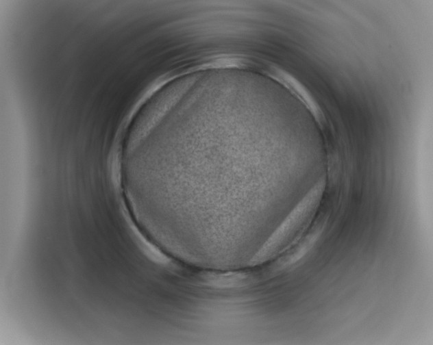 X0000113740851200910071044