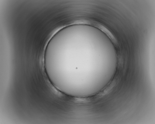 X0000113740852200910071044