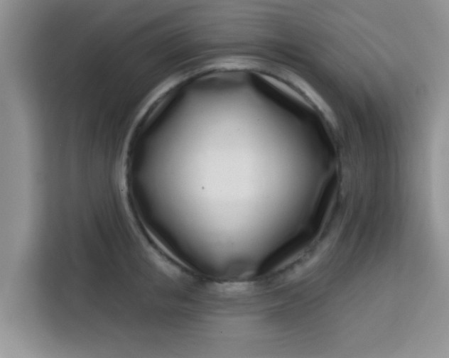 X0000113740853200910071044