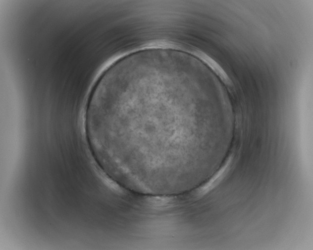 X0000113740854200910071044