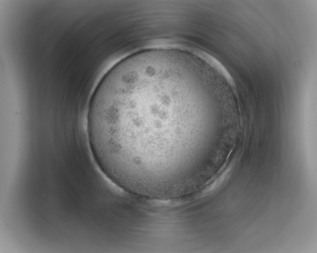 X0000113740855200910071044