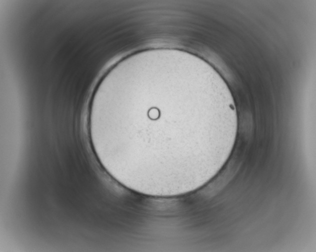 X0000113740856200910071044