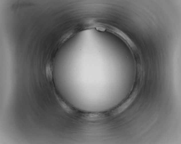 X0000113740857200910071044