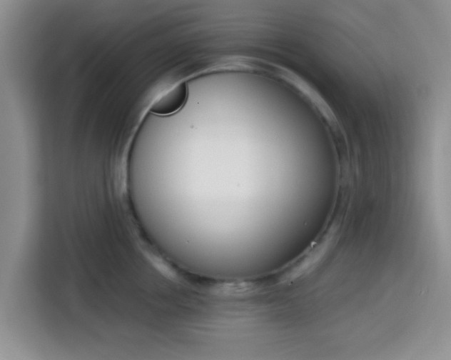 X0000113740858200910071044